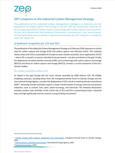 First page of the position paper on the ICM Srategy.